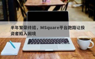 半年繁荣终结，MSquare平台跑路让投资者陷入困境