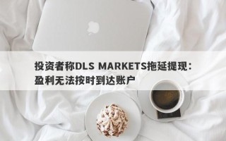 投资者称DLS MARKETS拖延提现：盈利无法按时到达账户