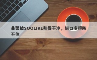 韭菜被SOOLIKE割得干净，借口多得防不住