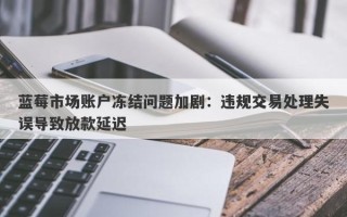 蓝莓市场账户冻结问题加剧：违规交易处理失误导致放款延迟