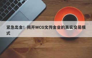 紧急出金！揭开WCG文传金业的真实交易模式