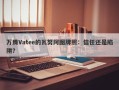 万腾Vatee的瓦努阿图牌照：信任还是陷阱？