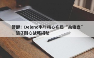 警醒！Deleno半年精心布局“杀猪盘”，骗子耐心战略揭秘