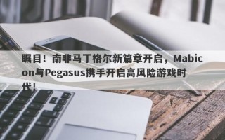 瞩目！南非马丁格尔新篇章开启，Mabicon与Pegasus携手开启高风险游戏时代！