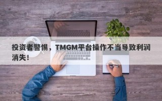 投资者警惕，TMGM平台操作不当导致利润消失！