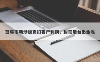 蓝莓市场涉嫌克扣客户利润，封禁后台出金难