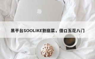 黑平台SOOLIKE割韭菜，借口五花八门