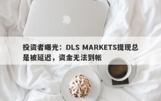 投资者曝光：DLS MARKETS提现总是被延迟，资金无法到帐