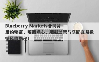 Blueberry Markets合同背后的秘密，暗藏祸心，规避监管与垄断交易数据风险揭秘！