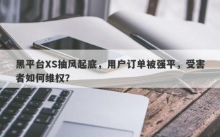 黑平台XS抽风起底，用户订单被强平，受害者如何维权？