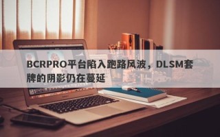 BCRPRO平台陷入跑路风波，DLSM套牌的阴影仍在蔓延