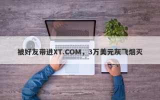 被好友带进XT.COM，3万美元灰飞烟灭