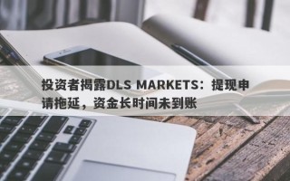 投资者揭露DLS MARKETS：提现申请拖延，资金长时间未到账