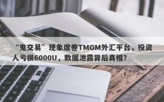 “鬼交易”现象席卷TMGM外汇平台，投资人亏损6000U，数据泄露背后真相？