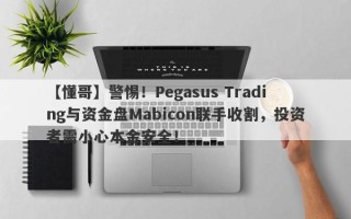 【懂哥】警惕！Pegasus Trading与资金盘Mabicon联手收割，投资者需小心本金安全！