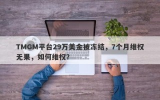 TMGM平台29万美金被冻结，7个月维权无果，如何维权？