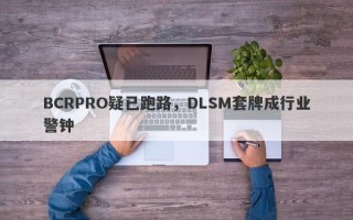 BCRPRO疑已跑路，DLSM套牌成行业警钟