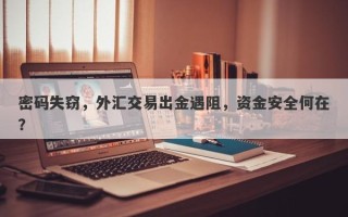 密码失窃，外汇交易出金遇阻，资金安全何在？