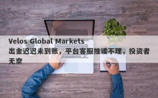 Velos Global Markets出金迟迟未到账，平台客服推诿不理，投资者无奈