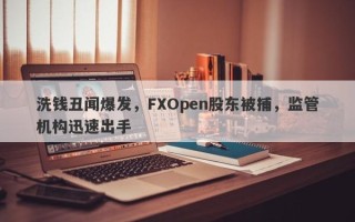 洗钱丑闻爆发，FXOpen股东被捕，监管机构迅速出手