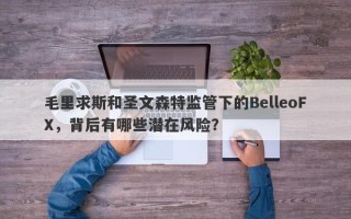 毛里求斯和圣文森特监管下的BelleoFX，背后有哪些潜在风险？