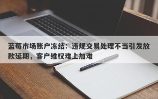 蓝莓市场账户冻结：违规交易处理不当引发放款延期，客户维权难上加难