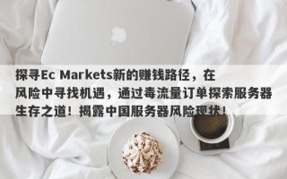 探寻Ec Markets新的赚钱路径，在风险中寻找机遇，通过毒流量订单探索服务器生存之道！揭露中国服务器风险现状！