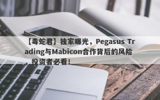 【毒蛇君】独家曝光，Pegasus Trading与Mabicon合作背后的风险，投资者必看！