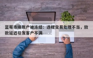 蓝莓市场账户被冻结：违规交易处理不当，放款延迟引发客户不满