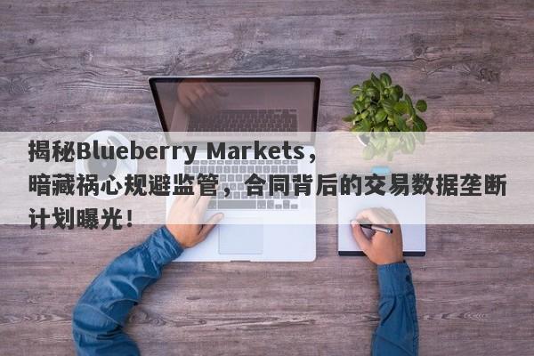 揭秘Blueberry Markets，暗藏祸心规避监管，合同背后的交易数据垄断计划曝光！-第1张图片-要懂汇