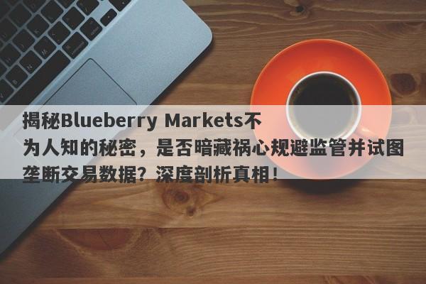 揭秘Blueberry Markets不为人知的秘密，是否暗藏祸心规避监管并试图垄断交易数据？深度剖析真相！-第1张图片-要懂汇