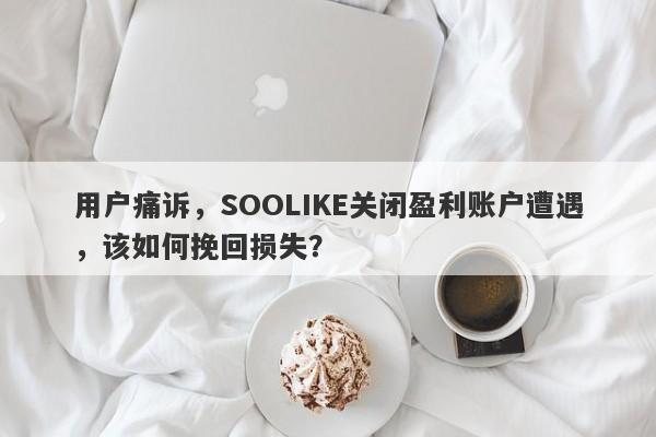 用户痛诉，SOOLIKE关闭盈利账户遭遇，该如何挽回损失？-第1张图片-要懂汇