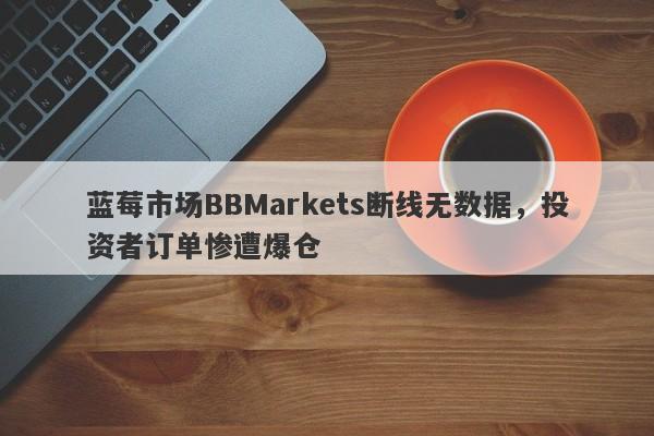 蓝莓市场BBMarkets断线无数据，投资者订单惨遭爆仓-第1张图片-要懂汇