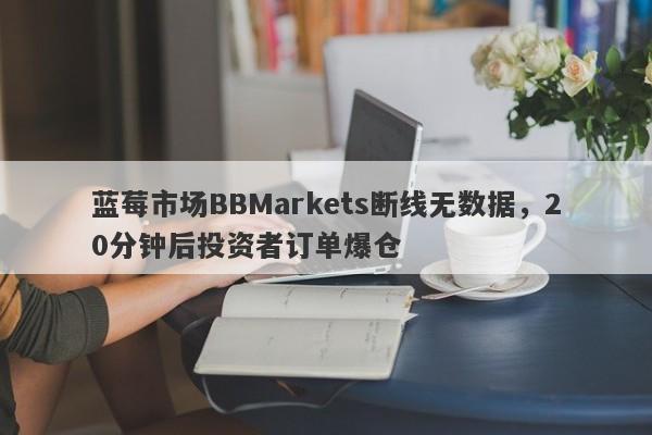 蓝莓市场BBMarkets断线无数据，20分钟后投资者订单爆仓-第1张图片-要懂汇