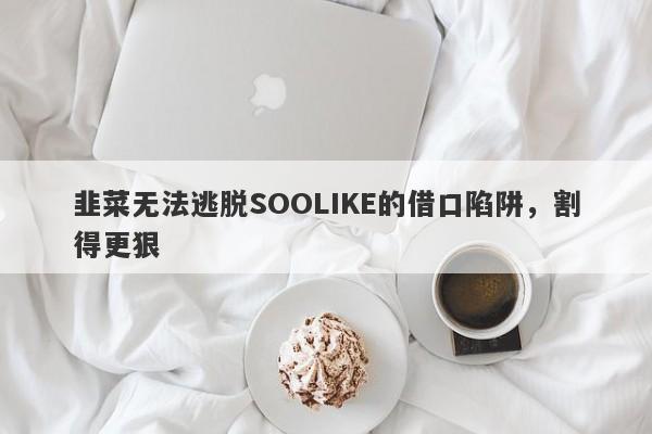 韭菜无法逃脱SOOLIKE的借口陷阱，割得更狠-第1张图片-要懂汇