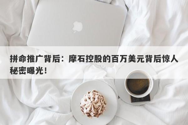 拼命推广背后：摩石控股的百万美元背后惊人秘密曝光！-第1张图片-要懂汇