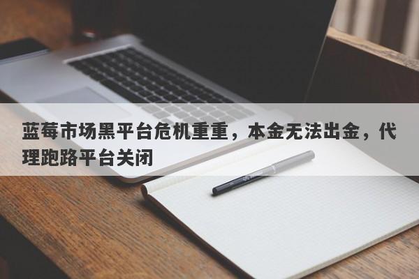 蓝莓市场黑平台危机重重，本金无法出金，代理跑路平台关闭-第1张图片-要懂汇