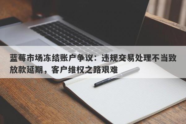 蓝莓市场冻结账户争议：违规交易处理不当致放款延期，客户维权之路艰难-第1张图片-要懂汇