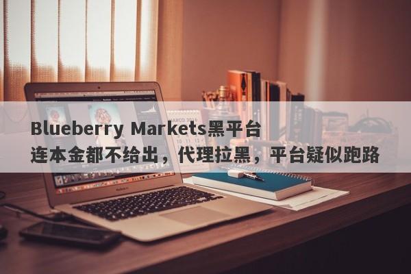 Blueberry Markets黑平台连本金都不给出，代理拉黑，平台疑似跑路-第1张图片-要懂汇