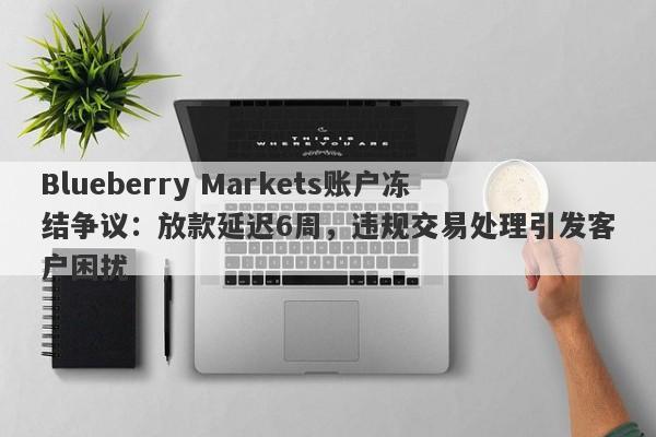 Blueberry Markets账户冻结争议：放款延迟6周，违规交易处理引发客户困扰-第1张图片-要懂汇