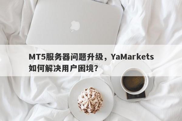 MT5服务器问题升级，YaMarkets如何解决用户困境？-第1张图片-要懂汇