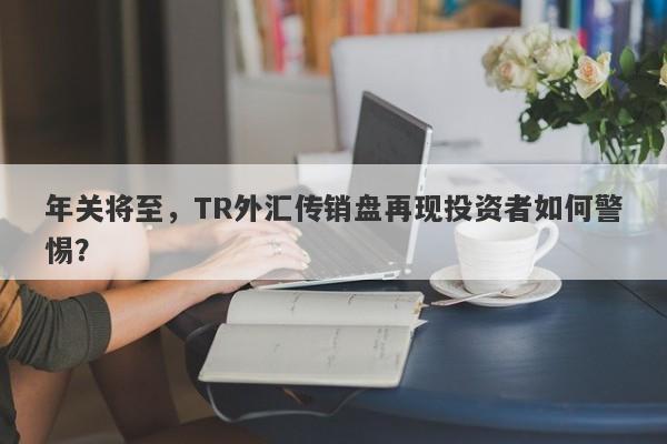 年关将至，TR外汇传销盘再现投资者如何警惕？-第1张图片-要懂汇