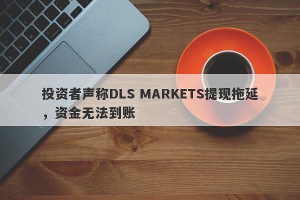 投资者声称DLS MARKETS提现拖延，资金无法到账-第1张图片-要懂汇