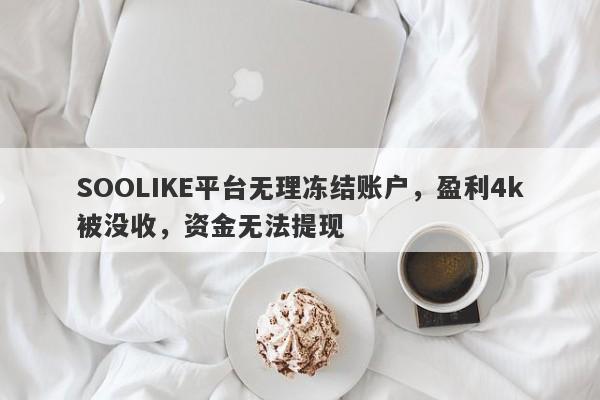 SOOLIKE平台无理冻结账户，盈利4k被没收，资金无法提现-第1张图片-要懂汇