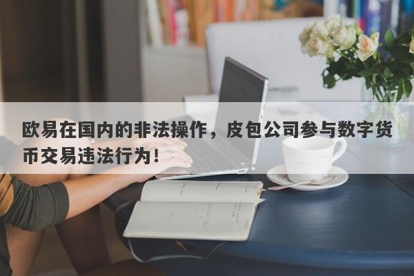 欧易在国内的非法操作，皮包公司参与数字货币交易违法行为！-第1张图片-要懂汇