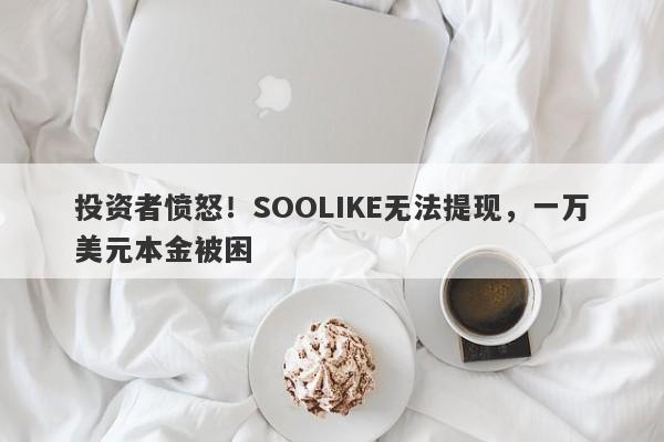 投资者愤怒！SOOLIKE无法提现，一万美元本金被困-第1张图片-要懂汇