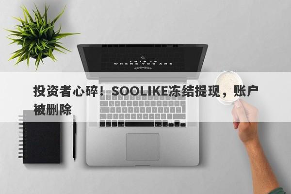 投资者心碎！SOOLIKE冻结提现，账户被删除-第1张图片-要懂汇