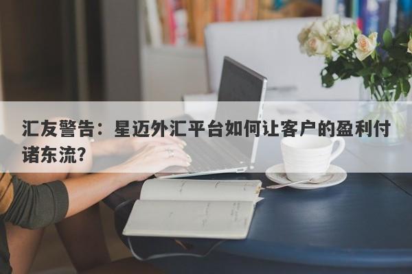 汇友警告：星迈外汇平台如何让客户的盈利付诸东流？-第1张图片-要懂汇