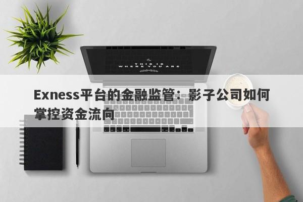 Exness平台的金融监管：影子公司如何掌控资金流向-第1张图片-要懂汇